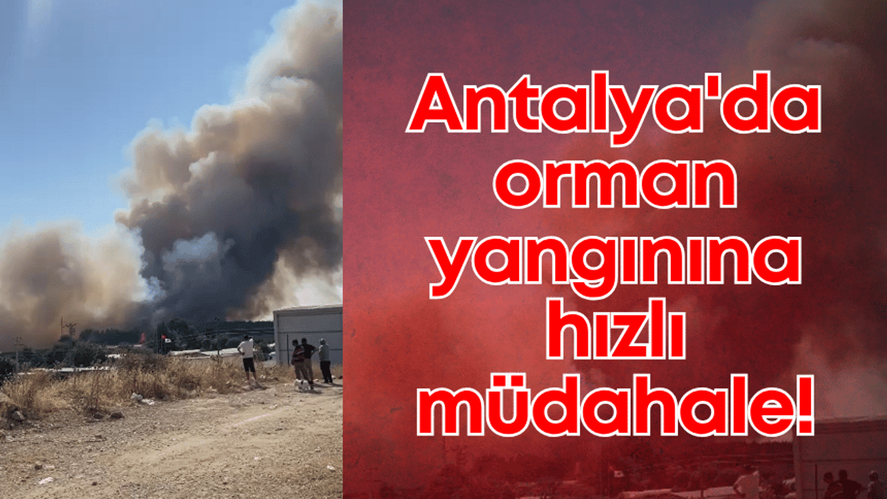 Antalya'da orman yangınına hızlı müdahale!