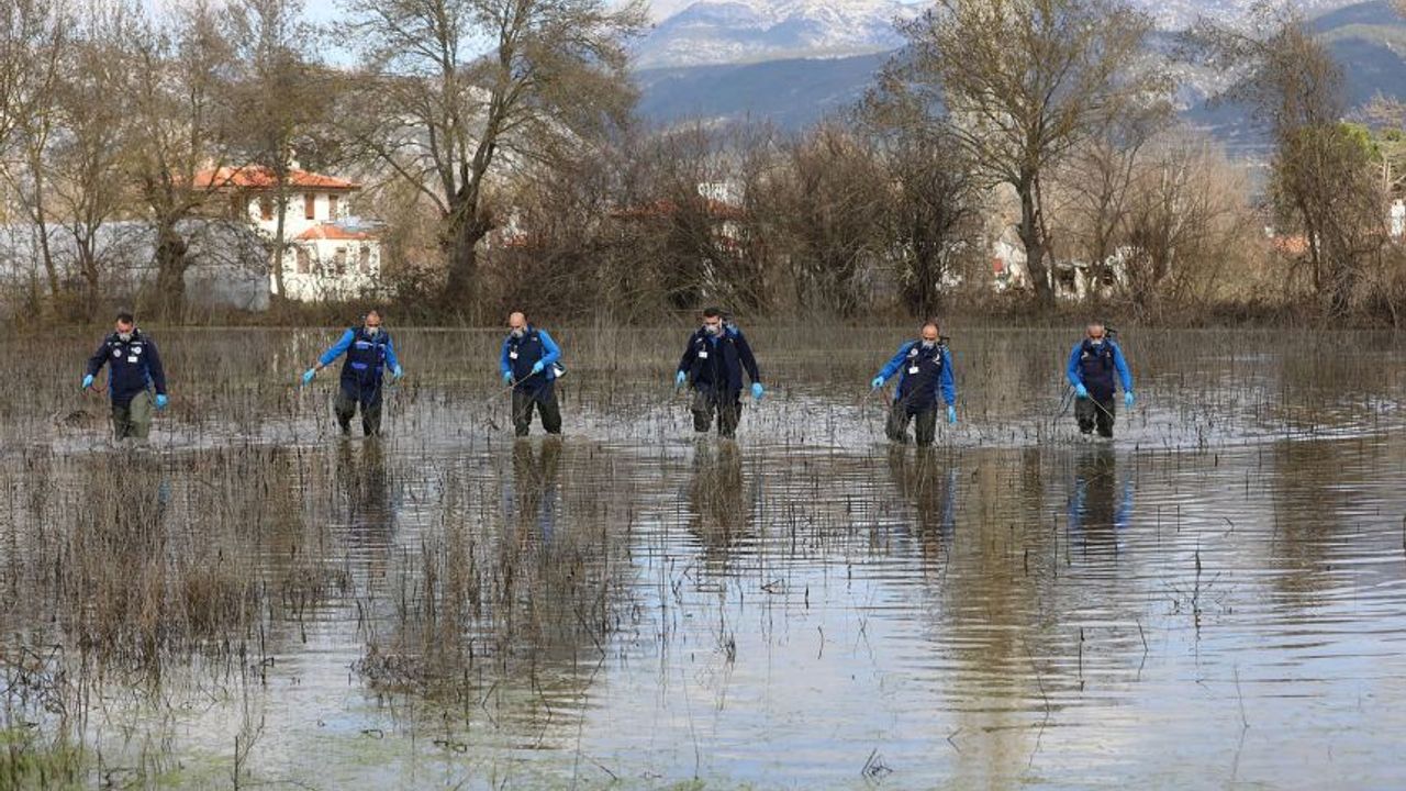 Muğla'da haşere avı: 13 ilçede ekipler sahada