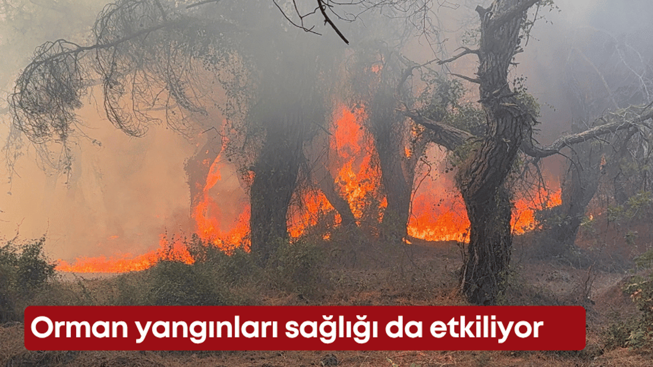 Orman yangınları sağlığı da etkiliyor