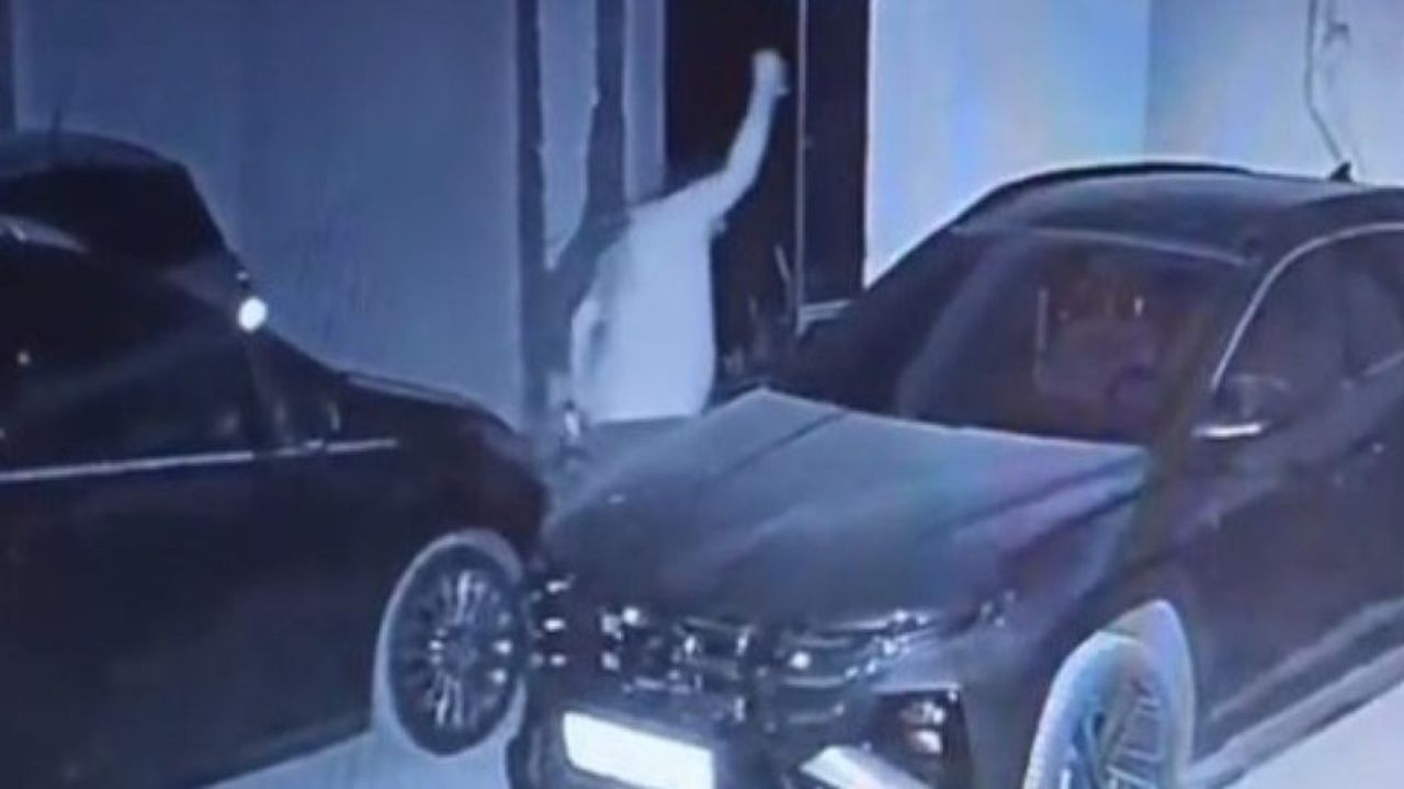 Isparta’da sitede yaşayan şahıs komşularının araçlarının camlarını kırdı