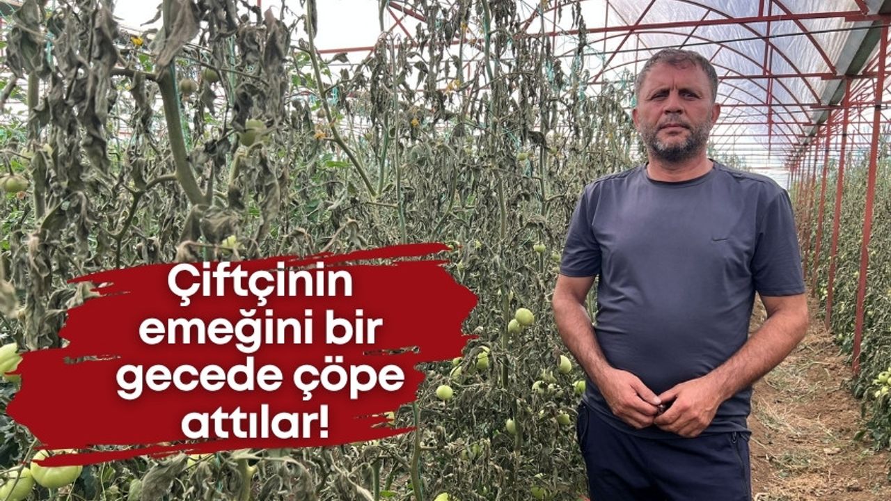 Antalya’da büyük vicdansızlık! Çiftçinin emeğini bir gecede çöpe attılar!