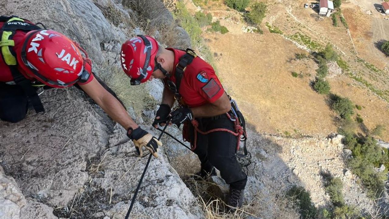 Dağ keçisinin imdadına ekipler koştu!