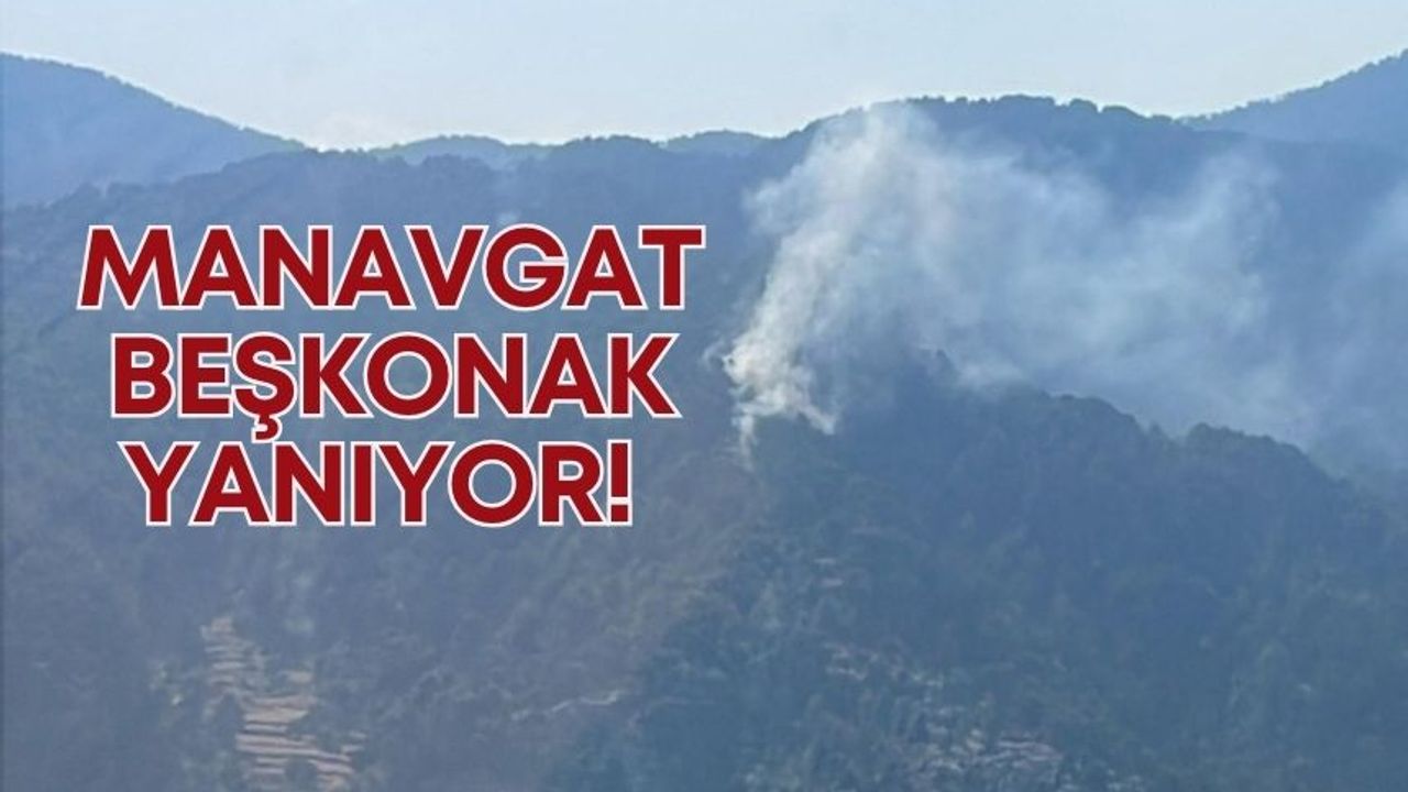 Manavgat Beşkonak alev alev!