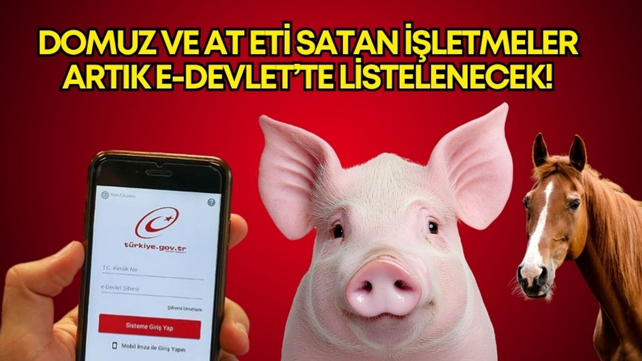 Antalya’da domuz ve at eti satan işletmeler artık E-Devlet’te listelenecek!