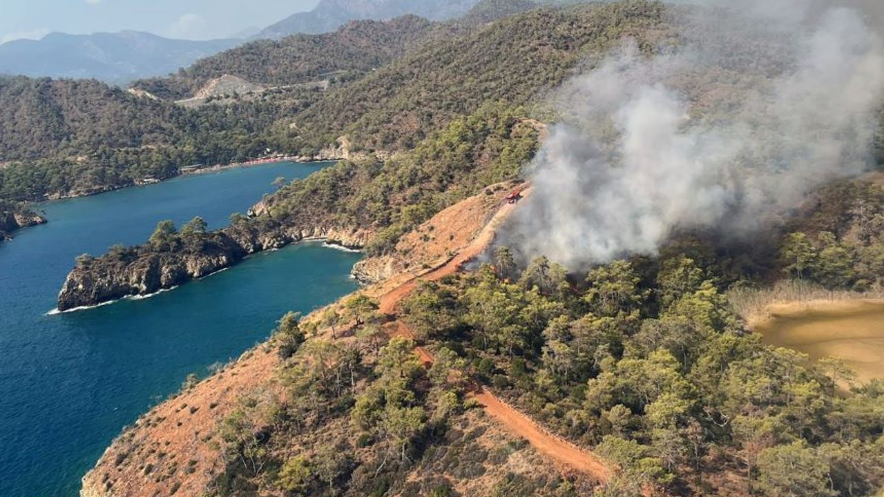 Fethiye'de ormanlık alanda yangın!