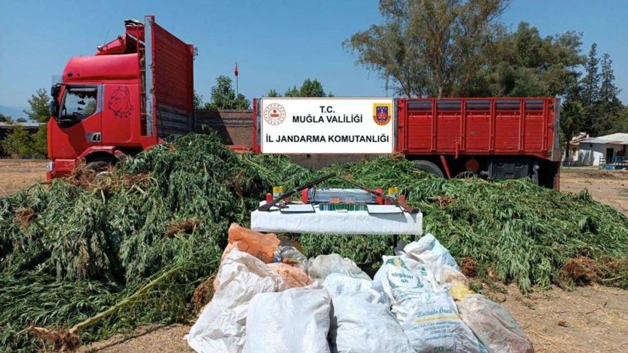 Muğla'da kenevir tarlasını 'tıbbi bitki' diye sulamış!