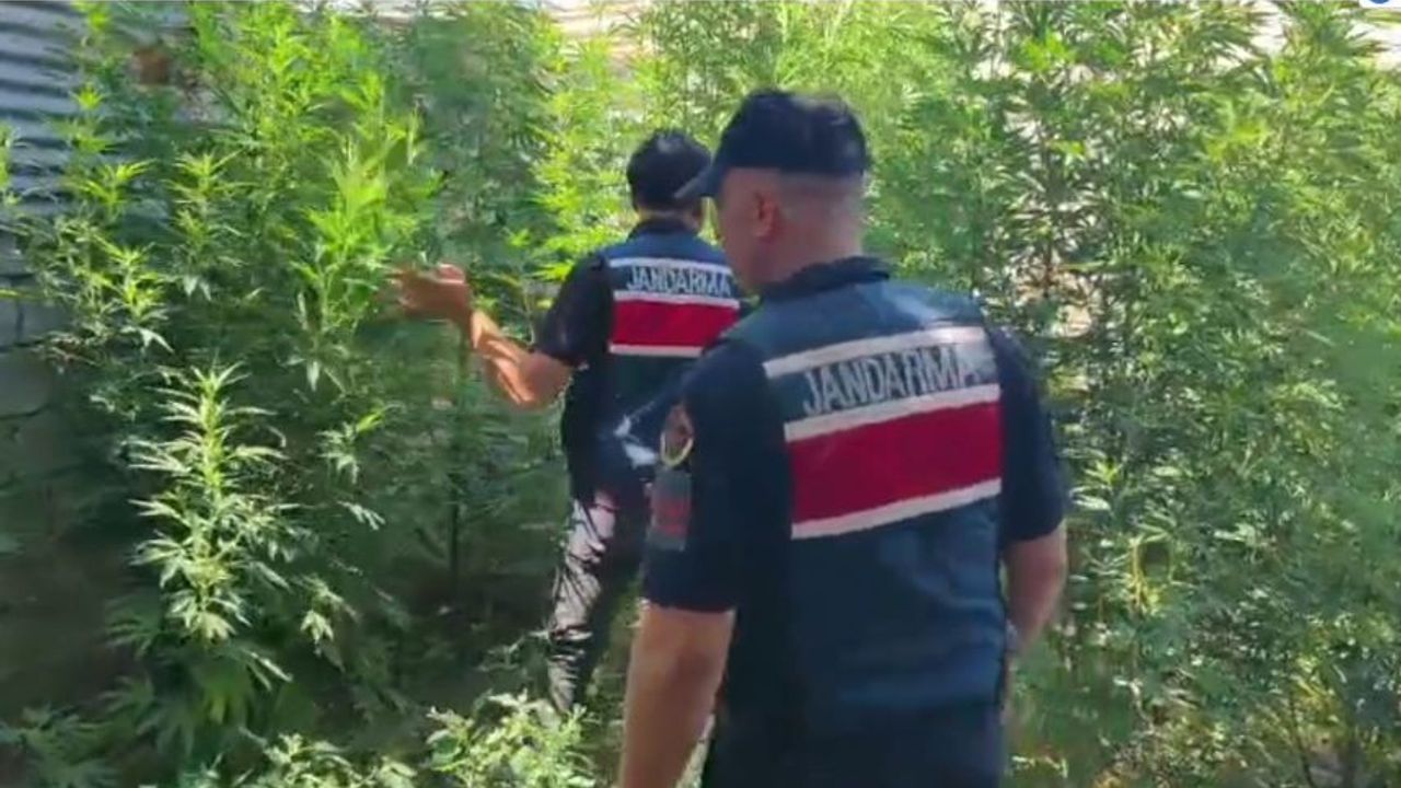 Mersin'de zehir operasyonu: Kilolarca madde ele geçirildi!