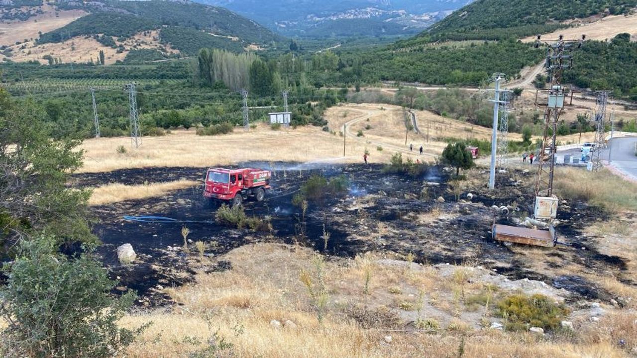 Eğirdir'de ilginç vaka: Kuşlar yangın çıkardı!