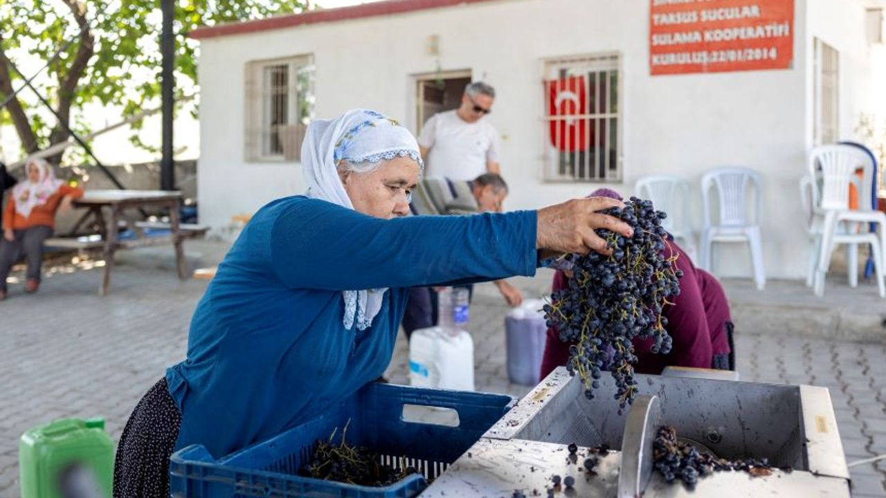Mersin Büyükşehir'den üreticiye destek! Üzüm üreticilerinin yüzü güldü