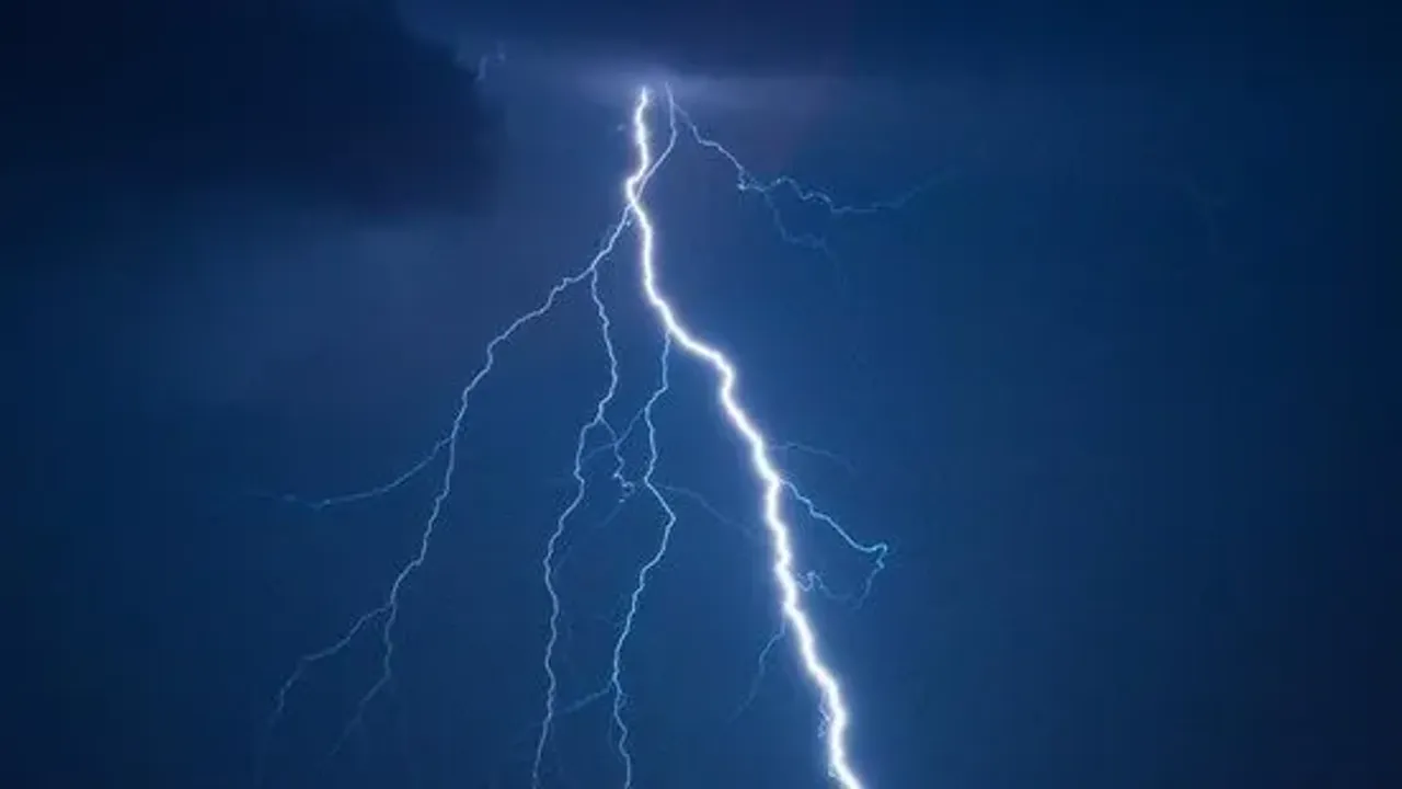 Yağmurdan sığındığı ağaca yıldırım düştü! Hayatını kaybetti