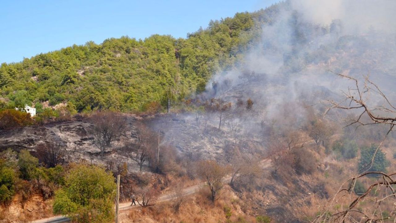 Alanya'da alevlerle mücadele sürüyor! Başkan Özçelik açıklamada bulundu