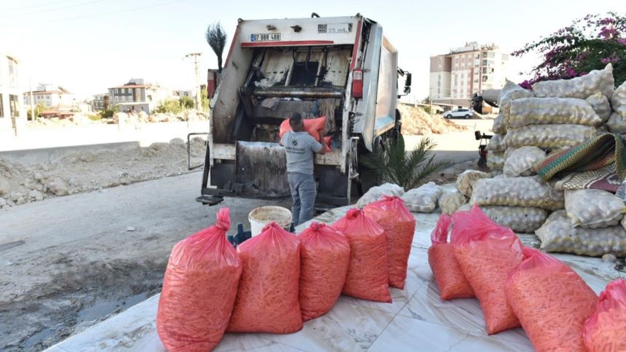 Antalya’da 1,5 ton patates imha edildi