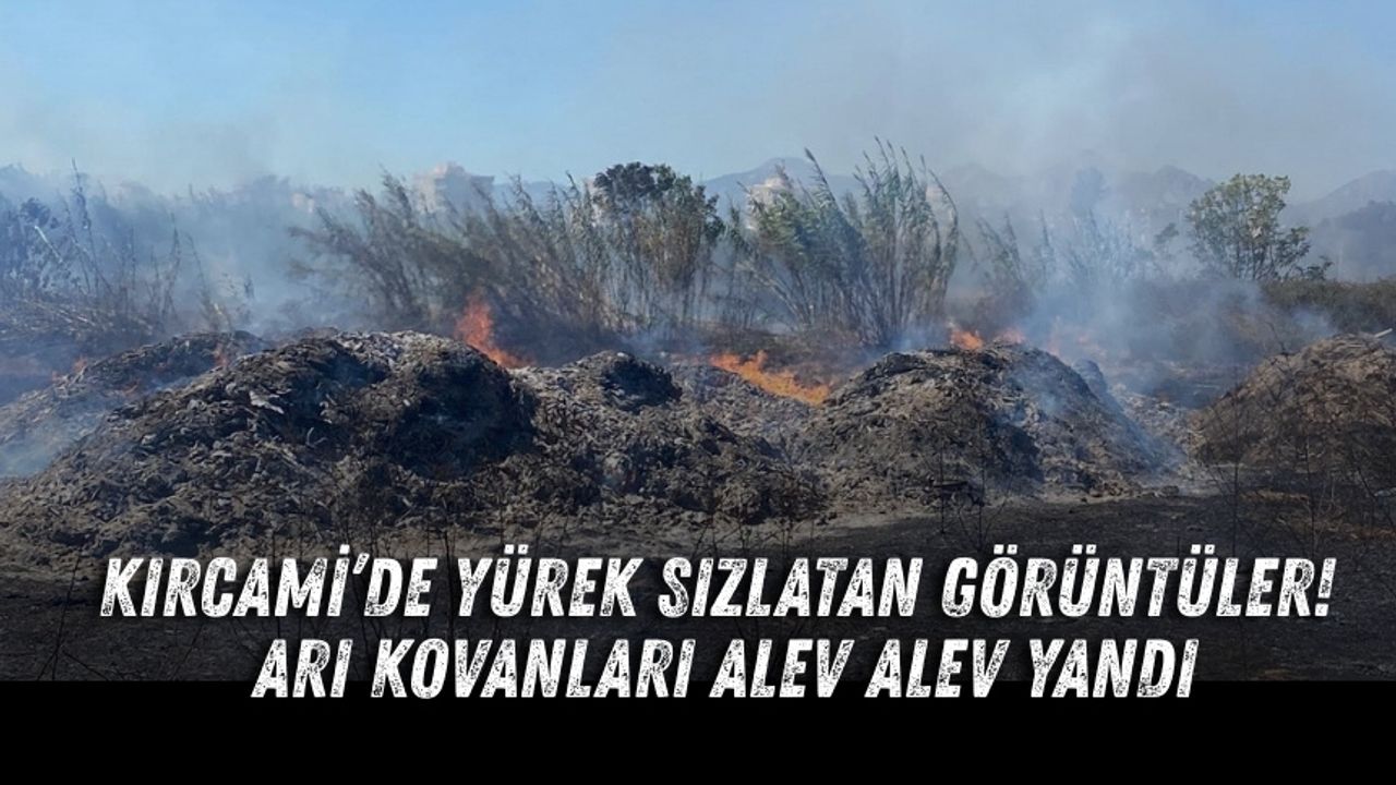 Kırcami’de yürek sızlatan görüntüler! Arı kovanları alev alev yandı