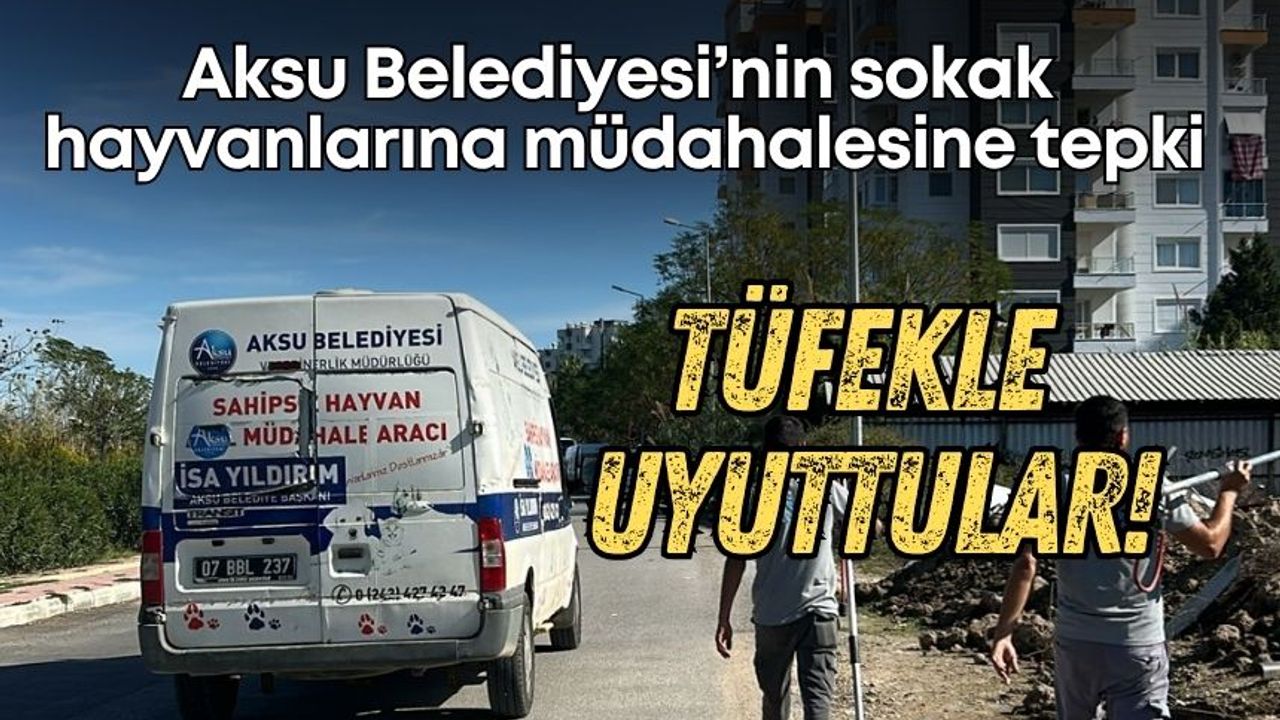 Aksu Belediyesi’nin sokak hayvanlarına müdahalesi tepki çekti