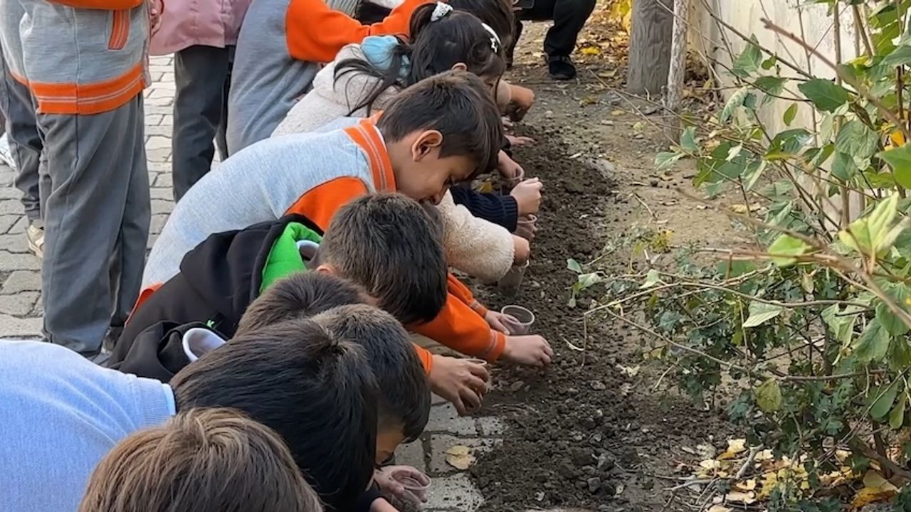 Konya'dan Yüksekova'ya Cumhuriyet hediyesi: Ata tohumları toprakla buluştu