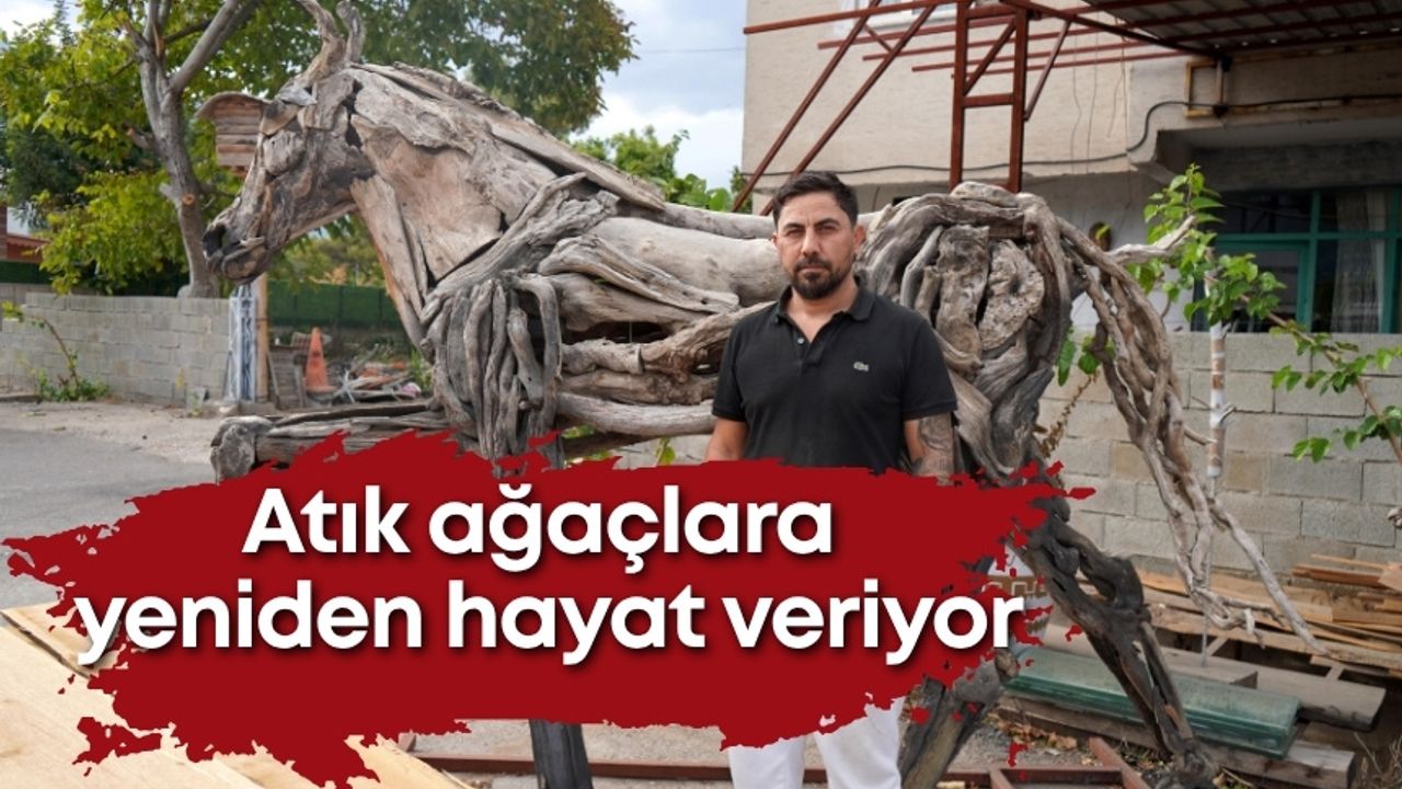 Atık ağaçlara yeniden hayat veriyor