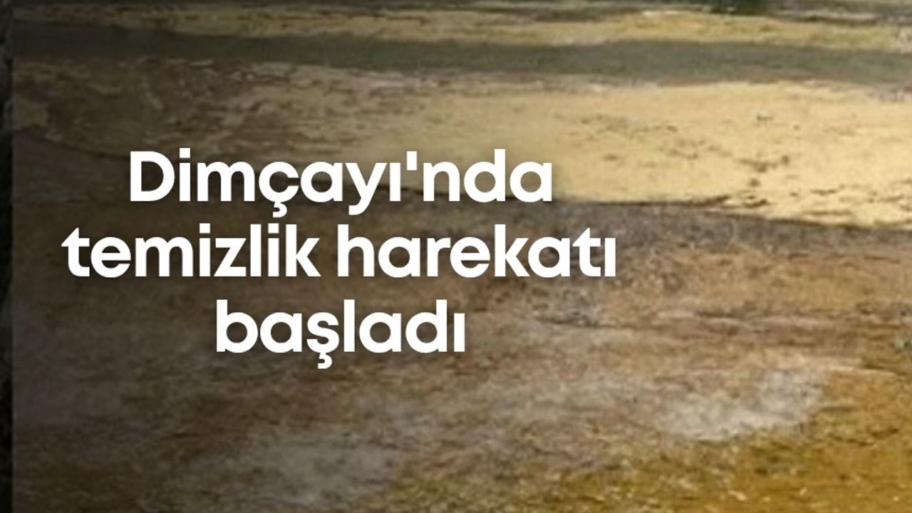 Dimçayı'nda temizlik harekatı başladı