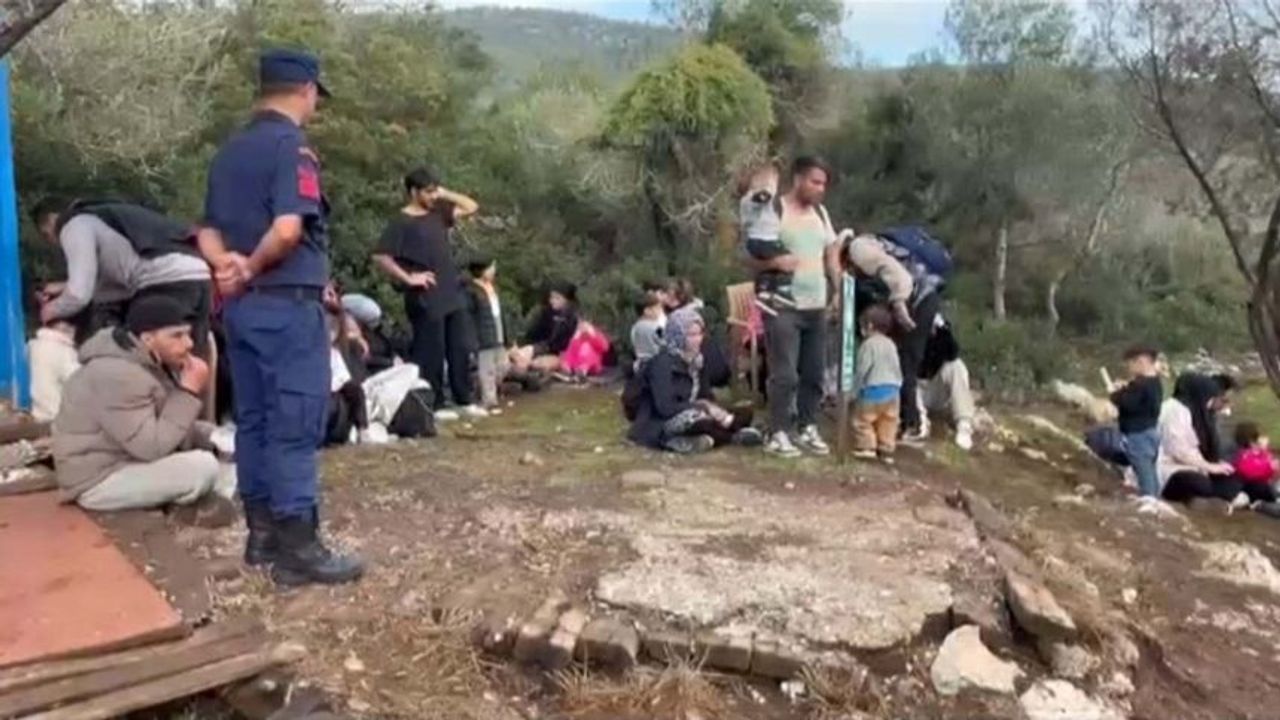 Muğla'da kaçak göçmenler yakalandı!