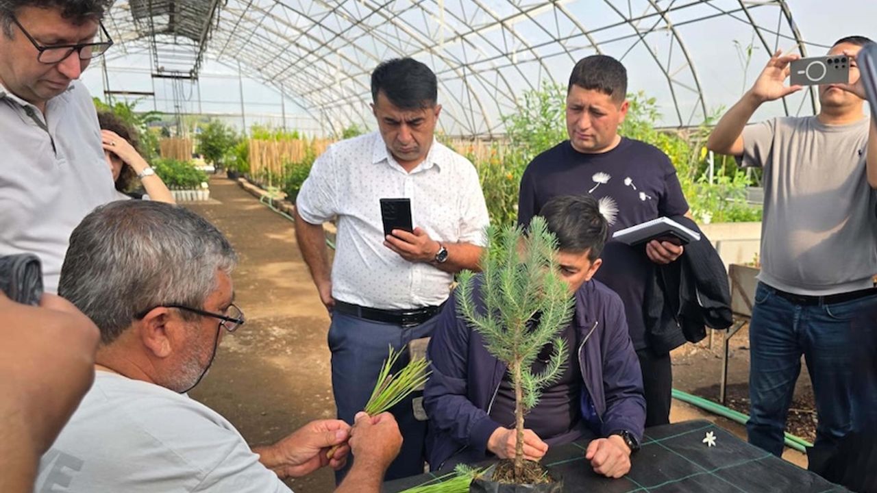 Özbekistan heyeti, Türkiye Ormancılık iş birliği kapsamında Muğla'da incelemelerde bulundu