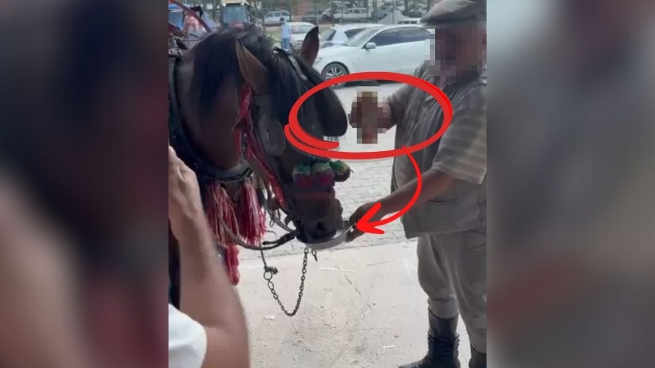 Sünnet düğününde ata alkol içirdiler!