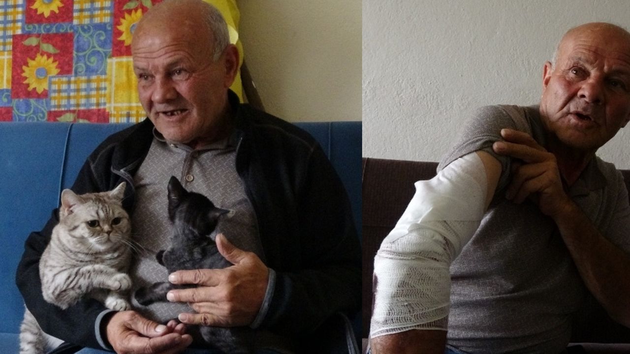 Burdur'da beslemek istediği köpek saldırdı