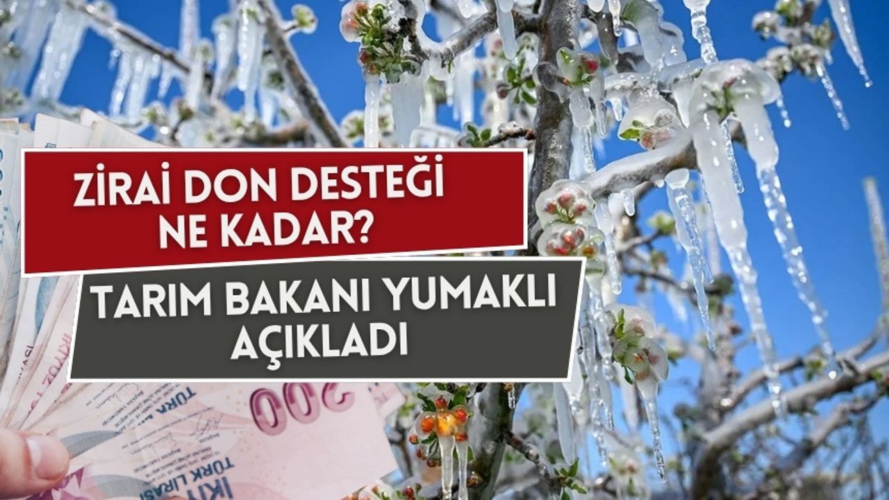 Zirai don desteği ne kadar? Tarım Bakanı İbrahim Yumaklı açıkladı