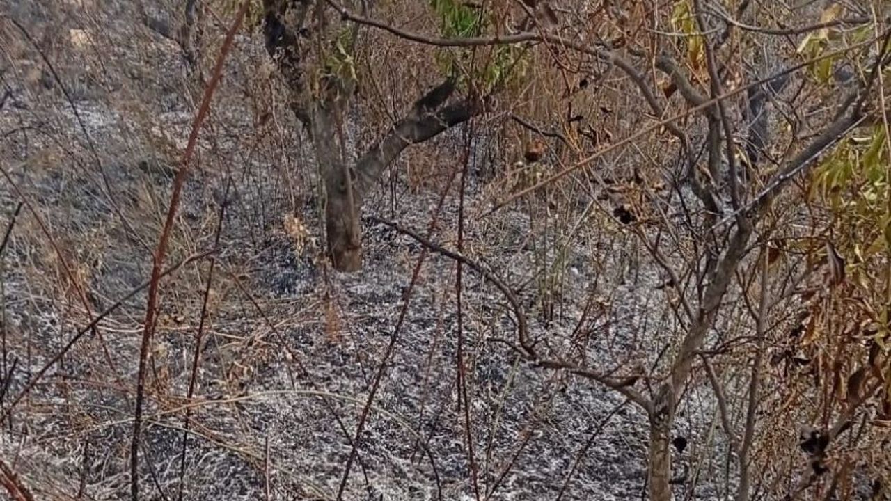 Bahçesini temizlemek için yaktığı ateş de can verdi