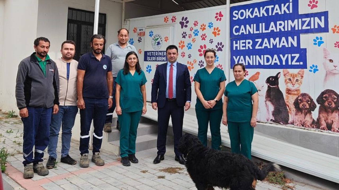 Gazipaşa Belediyesi’nden sokaktaki can dostlar için yeni proje