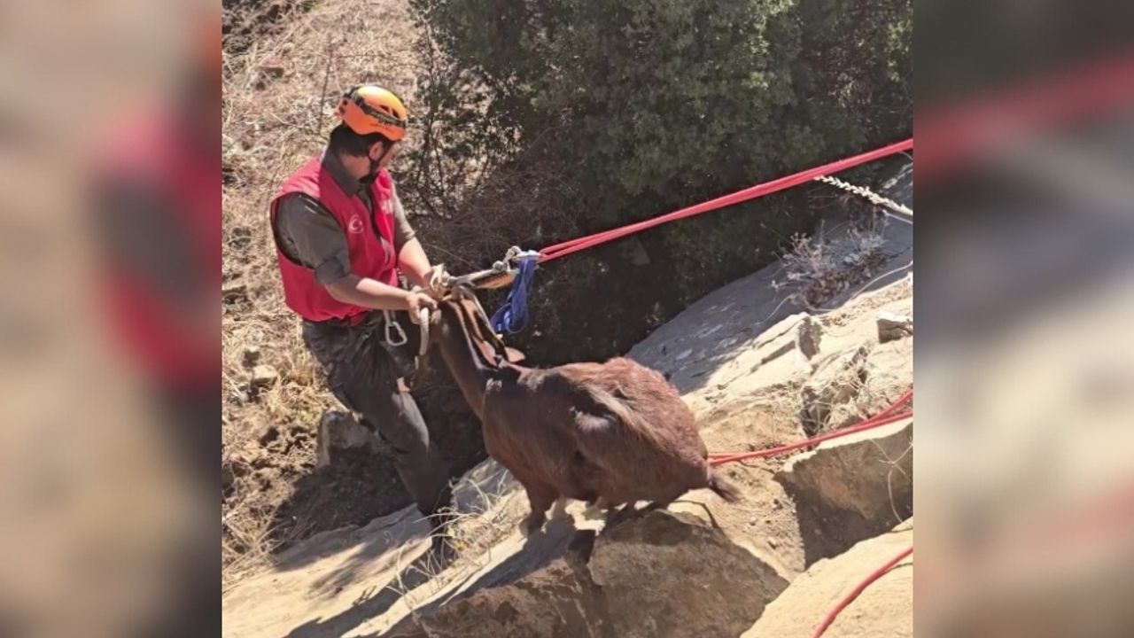 Korkuteli'nde dağda mahsur kalan keçi, film gibi operasyonla kurtarıldı