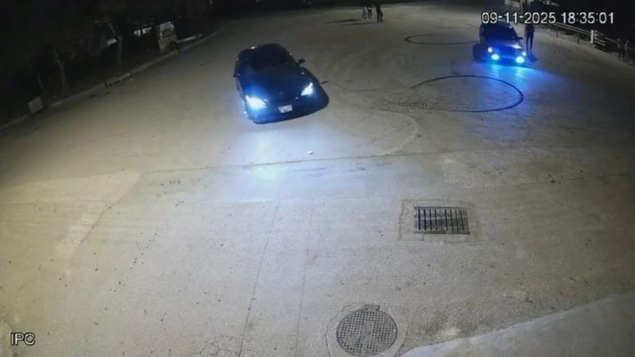 Manavgat'ta sanayi sitesinde dirift şovu pahalıya patladı