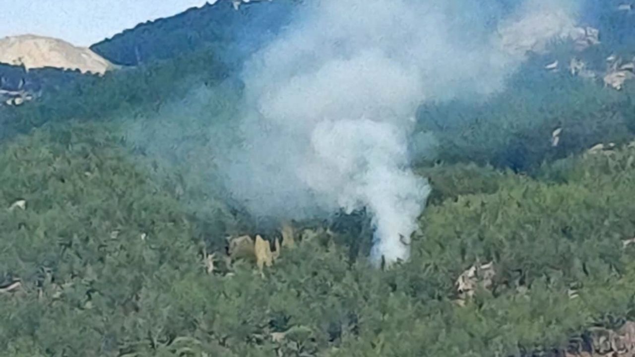 Muğla Kavaklıdere'de orman yangını: Ekipler alevlerle mücadele ediyor