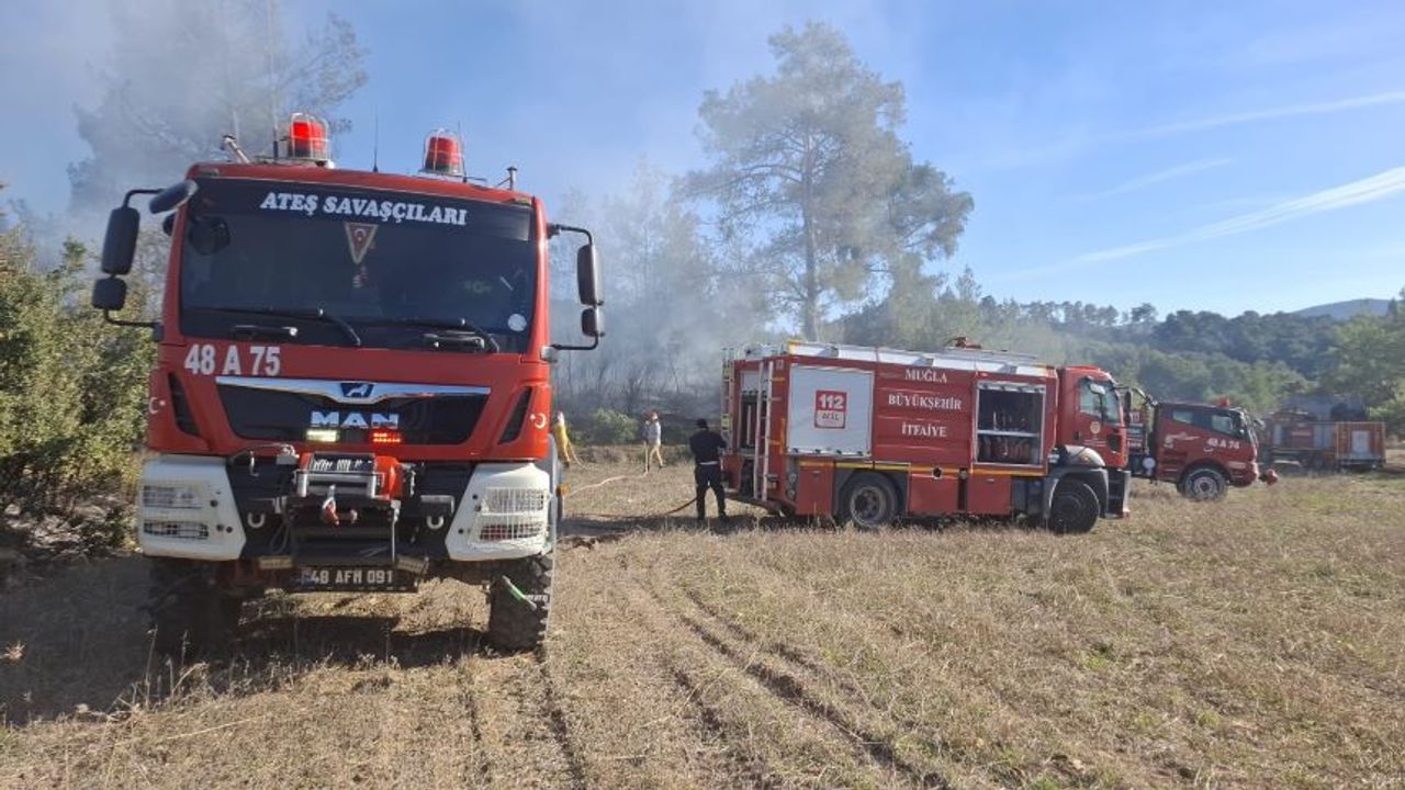 Muğla'da 2 ayrı yangın korkuttu