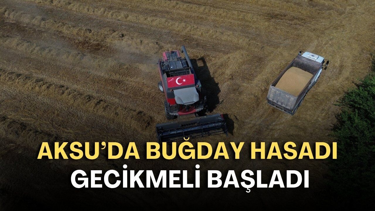 Aksu'da Buğday Hasadı Gecikmeli Başladı, Üreticiler Yoğun Mesai Harcıyor