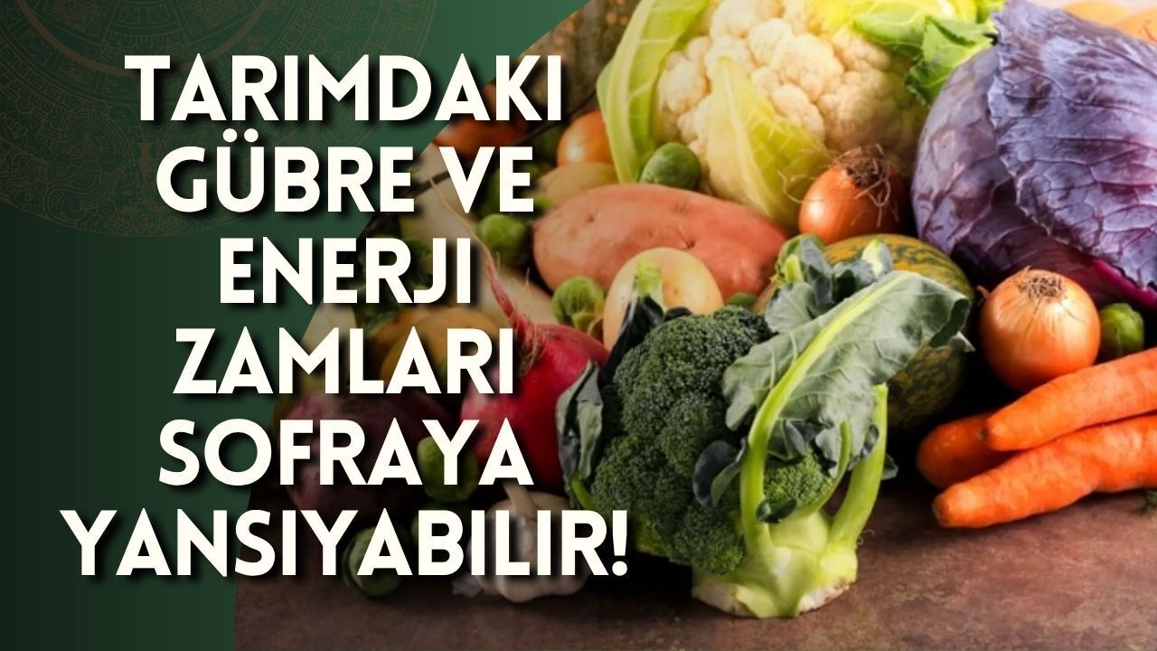 Antalya'da Tarım Maliyetleri Artıyor, Sofralara Yansıyacak mı?