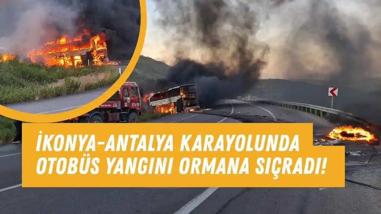 Konya-Antalya karayolunda otobüs yangını ormana sıçradı!