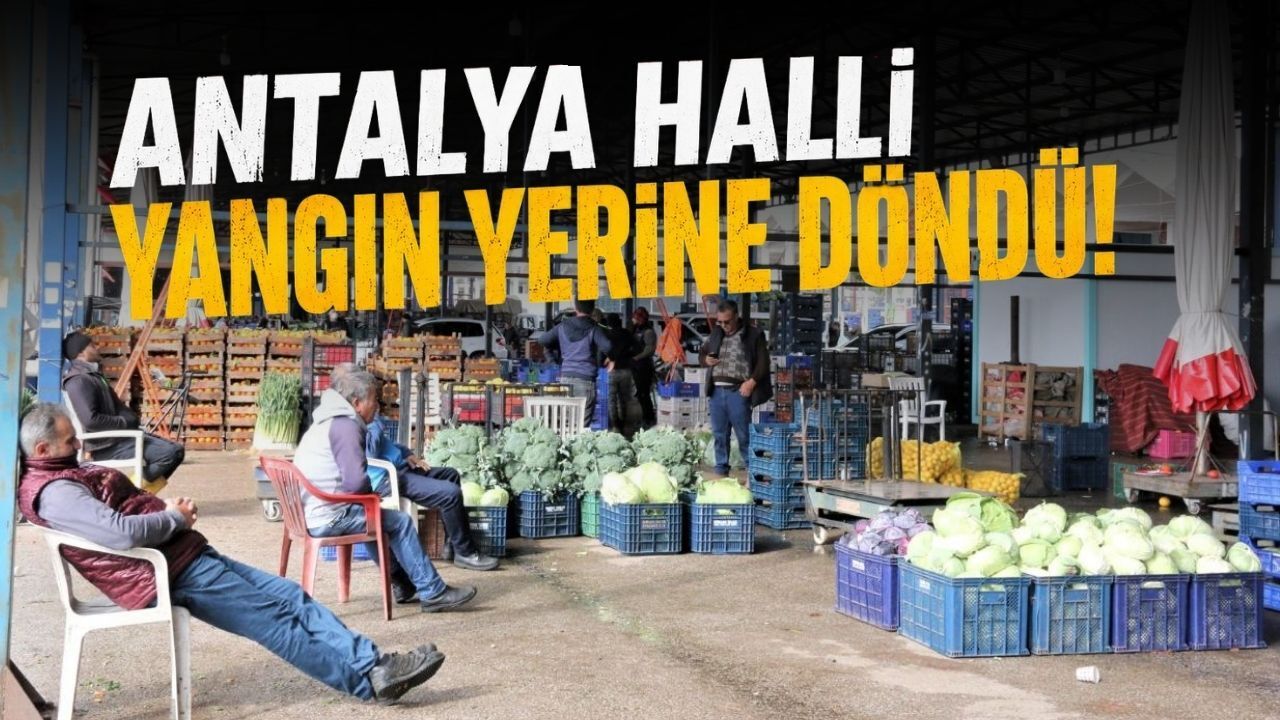 Antalya hali yangın yerine döndü: 45 günde 3 milyar TL buhar oldu