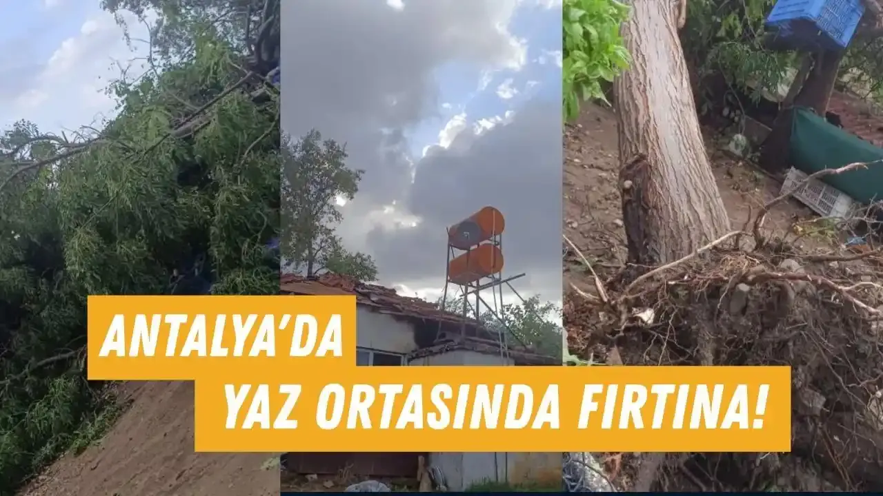 Antalya'da yaz ortasında fırtına! Çatılar uçtu, ağaçlar devrildi