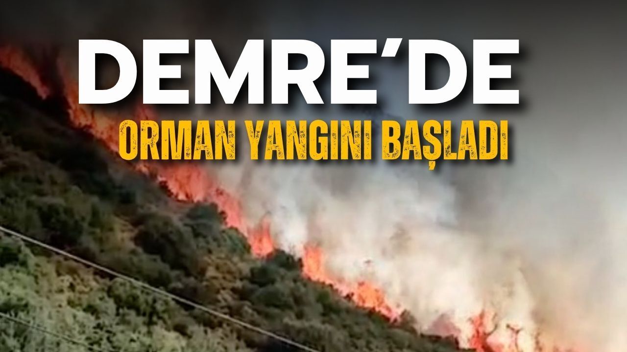Antalya Demre’de orman yangını başladı
