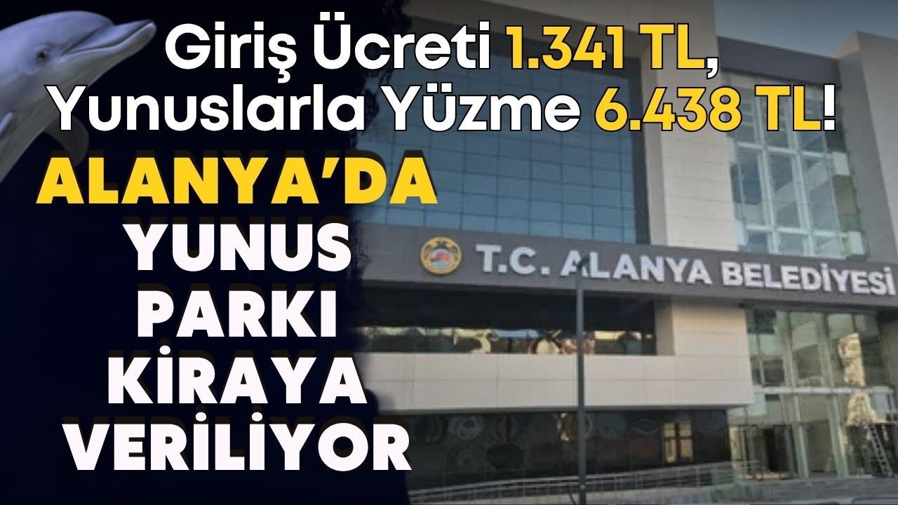 Giriş ücreti 1.341 TL, yunuslarla yüzme 6.438 TL! Alanya’da Yunus Parkı kiraya veriliyor