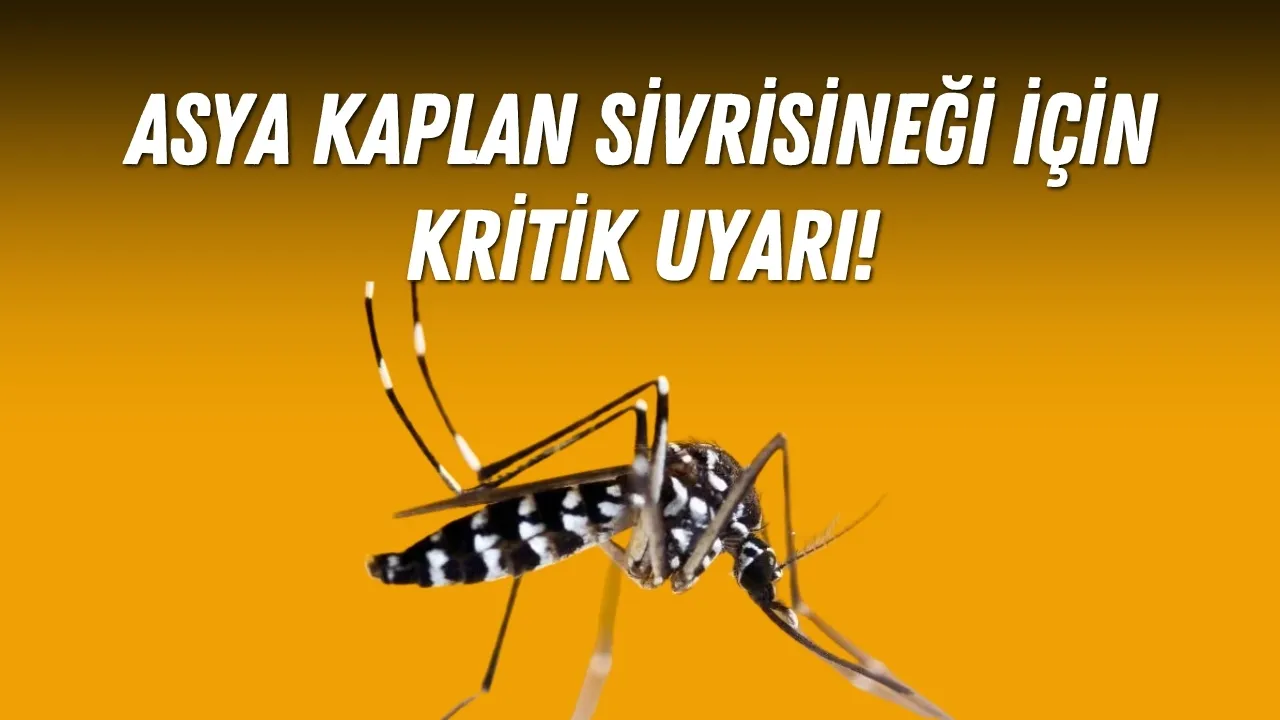 Asya kaplan sivrisineği için kritik uyarı!