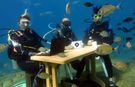 Muğla'da deniz altında ilginç değerlendirme