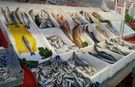 Antalya’da balık satışı düştü! Güncel balık fiyatları…