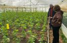 Antalya çiftçisine uyarı! Yasak getirildi