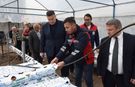Isparta'da bir ilk! Topraksız tarımla çilek yetişiyor