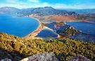Muğla’da büyük heyecan! Nesli tükenmekte olan devler sahile ilk imzayı attı