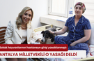 Sokak hayvanlarının hastaneye girişi yasaklanmıştı! Antalya Milletvekili o yasağı deldi!