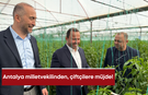 AK Parti Antalya milletvekilinden çiftçilere müjde!
