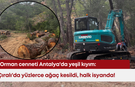 Orman cenneti Antalya'da yeşil kıyım: Çıralı'da yüzlerce ağaç kesildi, halk isyanda!