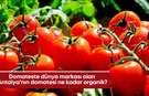 Domateste dünya markası olan Antalya’nın domatesi ne kadar organik?