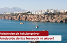 Falezlerden pis kokular geliyor: Antalya’da denize fosseptik mi akıyor?